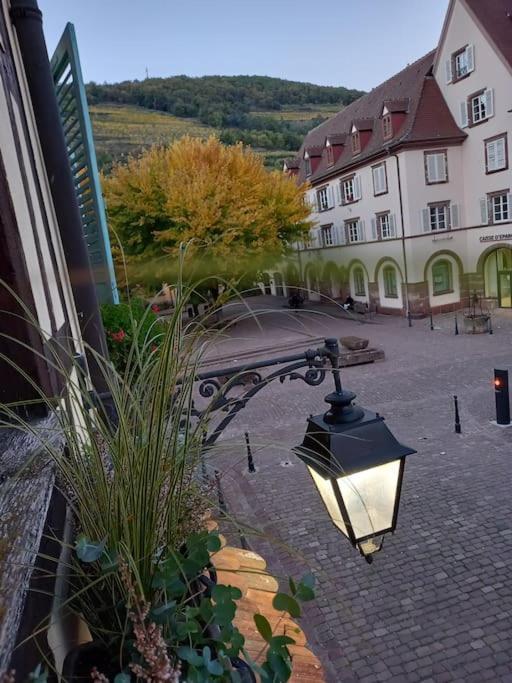 S'Gleina Gleck, In The Heart Of A Wine City, Charmant Studio 1 Piece Et 1 Salle De Bain Kaysersberg-Vignoble Bagian luar foto
