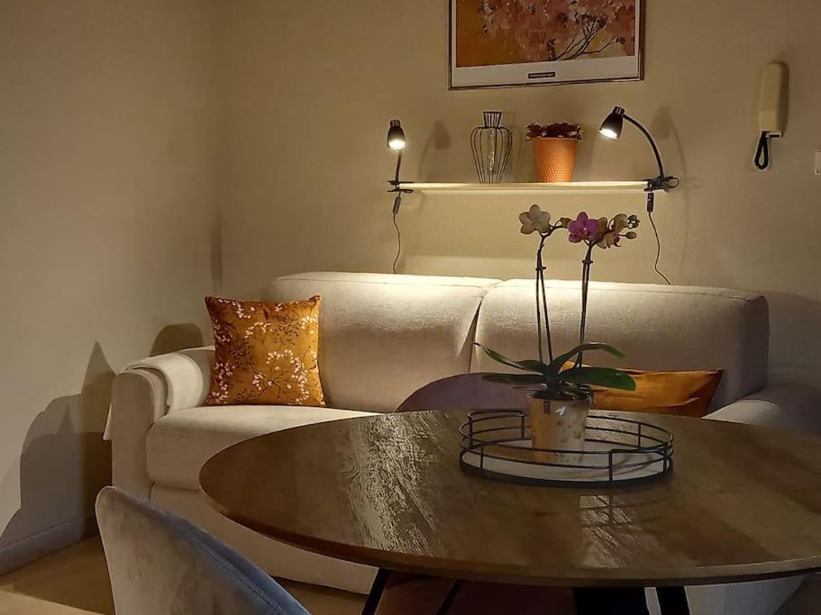 S'Gleina Gleck, In The Heart Of A Wine City, Charmant Studio 1 Piece Et 1 Salle De Bain Kaysersberg-Vignoble Bagian luar foto