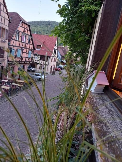 S'Gleina Gleck, In The Heart Of A Wine City, Charmant Studio 1 Piece Et 1 Salle De Bain Kaysersberg-Vignoble Bagian luar foto